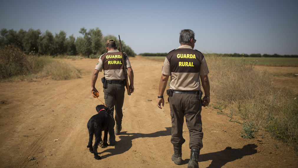 Curso de Guarda Rural y Especialidad de Caza